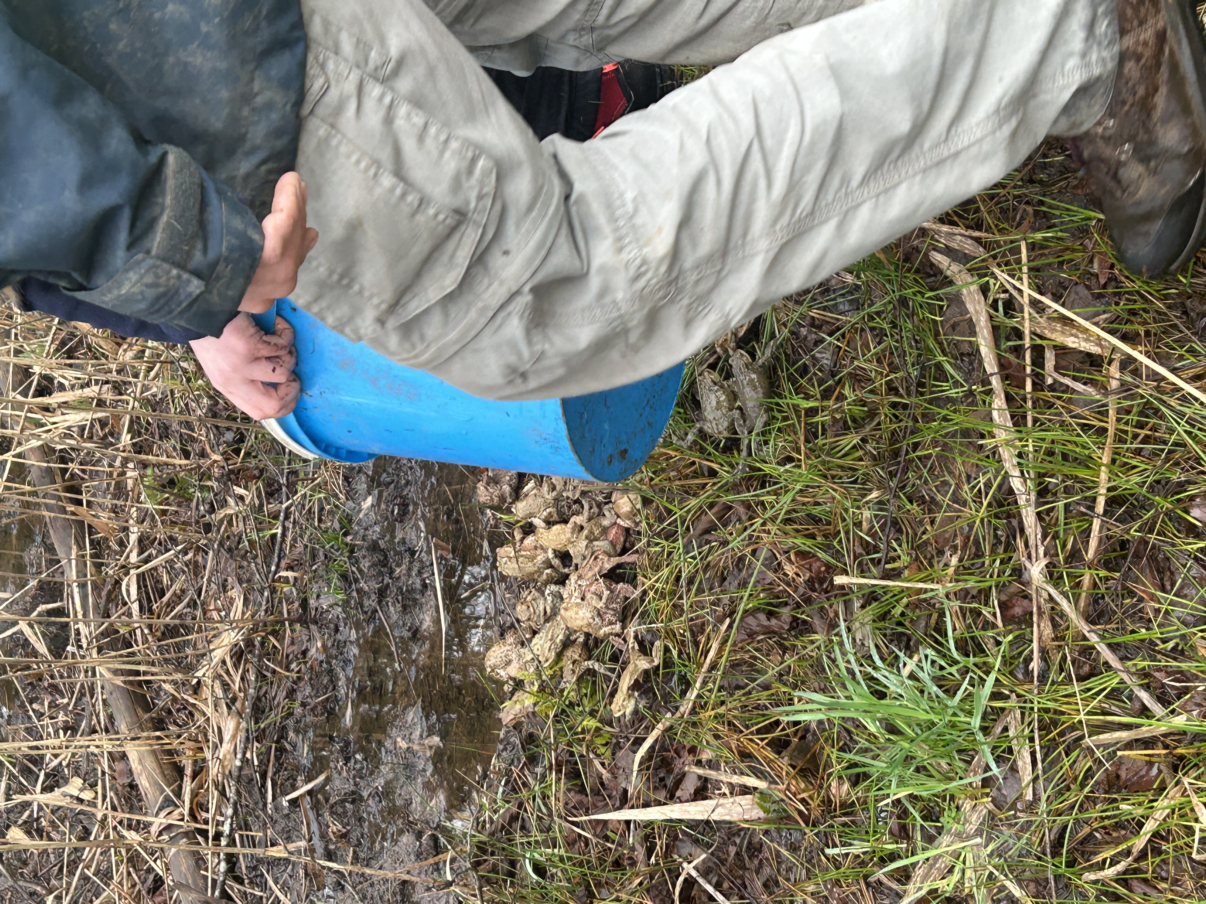 IMG_1520.jpg (3.74 MB)