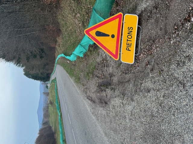 IMG_7445.jpeg (254 KB)