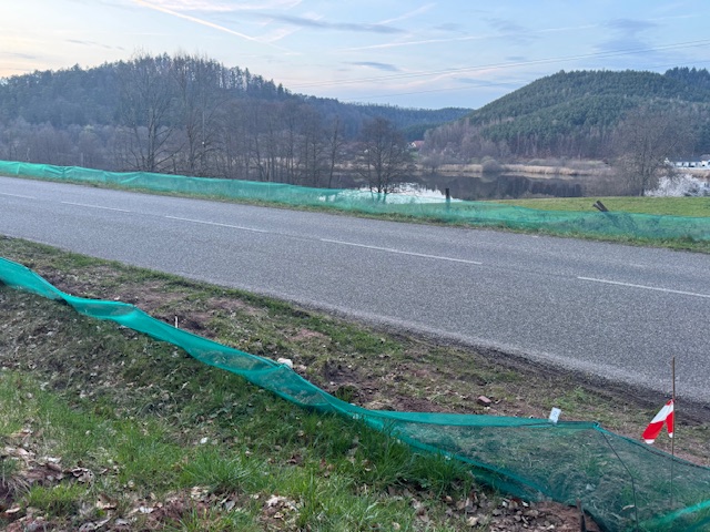 IMG_7446.jpeg (186 KB)