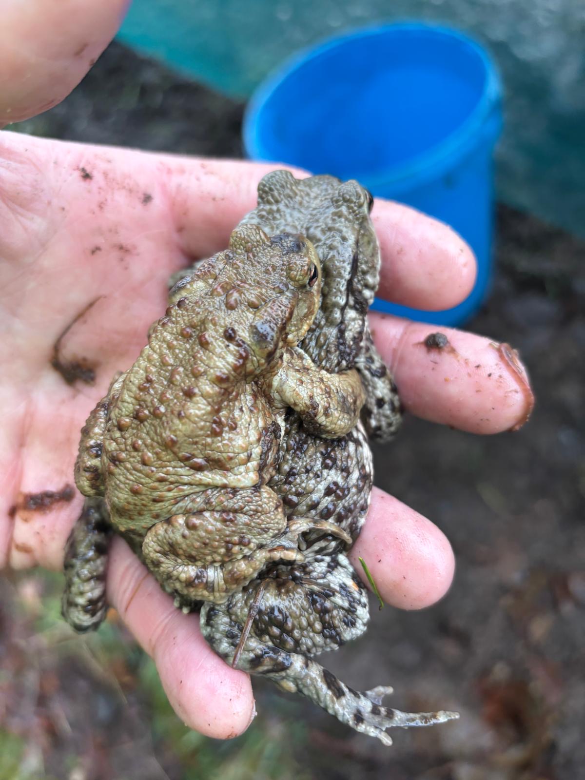 ea007d9b-7e09-43cf-8cbf-dc32bf0241f7.JPG (238 KB)