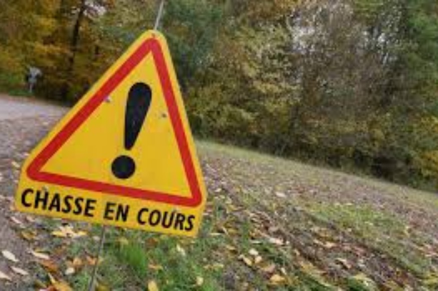 Bitche : Battue de chasse organisée ce samedi 5 février 2022 - Radio Studio 1