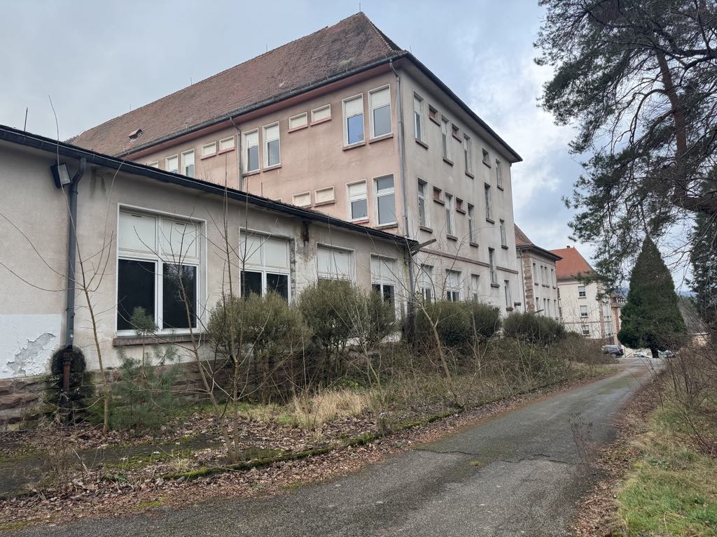 6d555951-4ac8-4f06-8eb7-b7e3b134ac4a.jpg (178 KB)