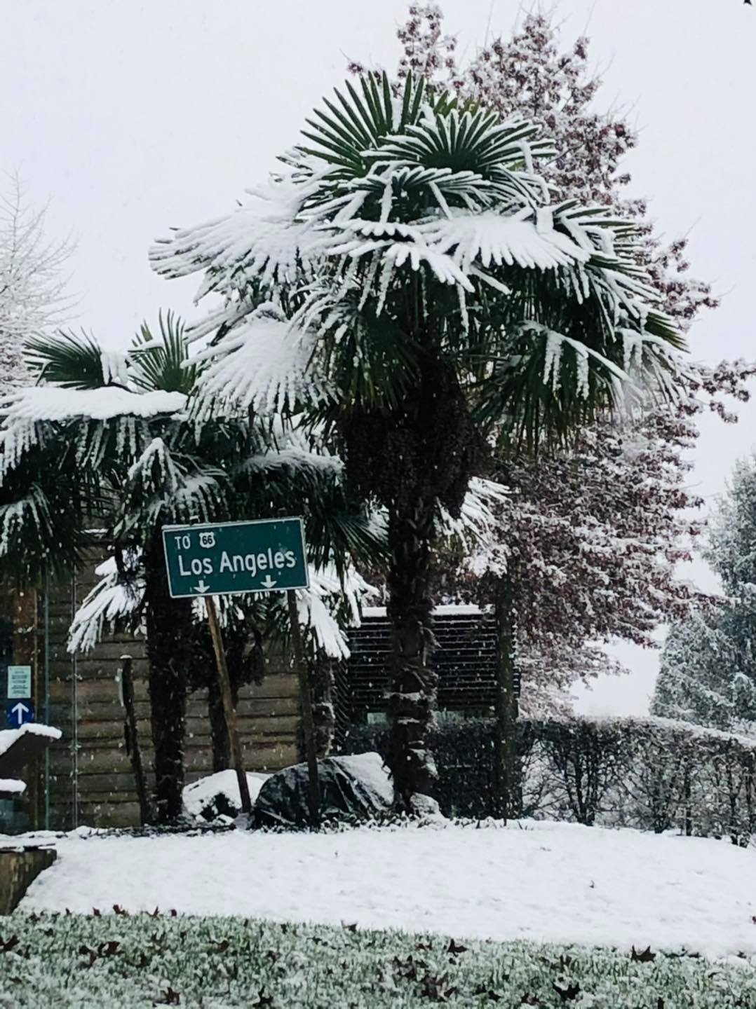 janvier.jpg (220 KB)