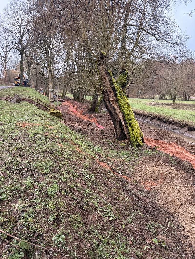 IMG_9058.jpeg (681 KB)