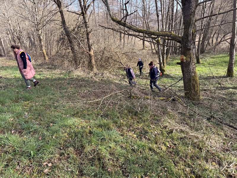 IMG_9146.jpeg (400 KB)