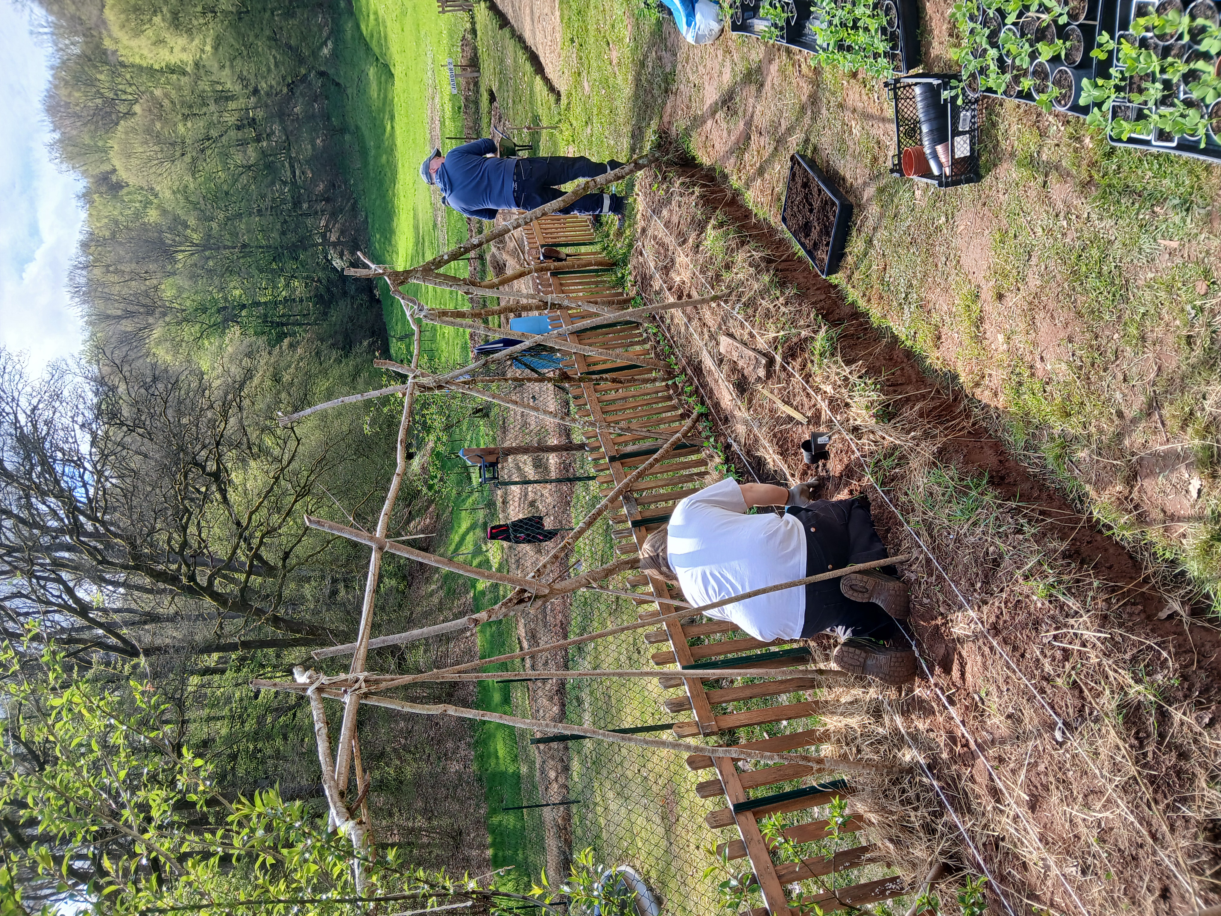 20260416_111030.jpg (6.65 MB)