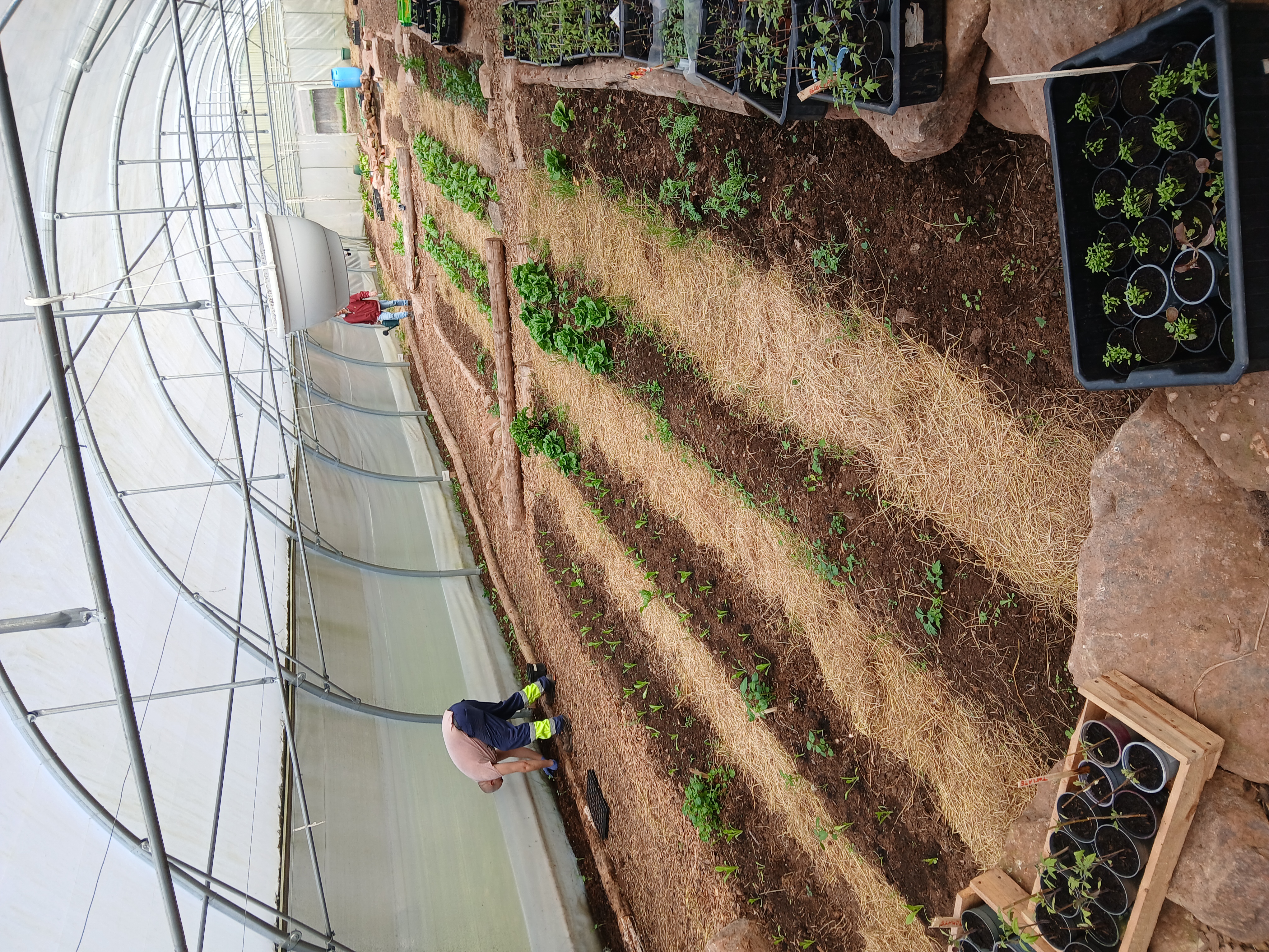 20260416_111753.jpg (6.40 MB)